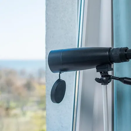 Avis - Skwer Kosciuszki 34a